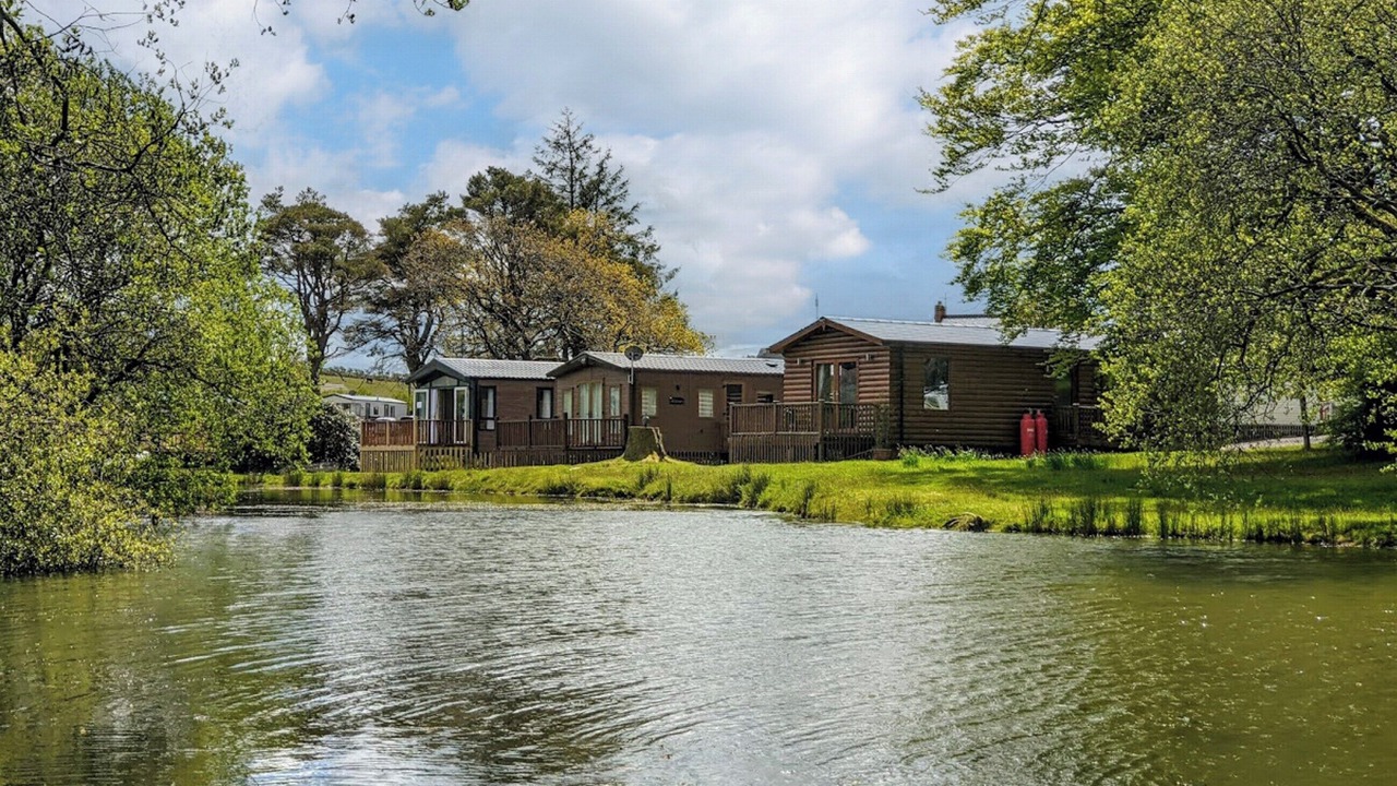 Photo of Others in Rosebush