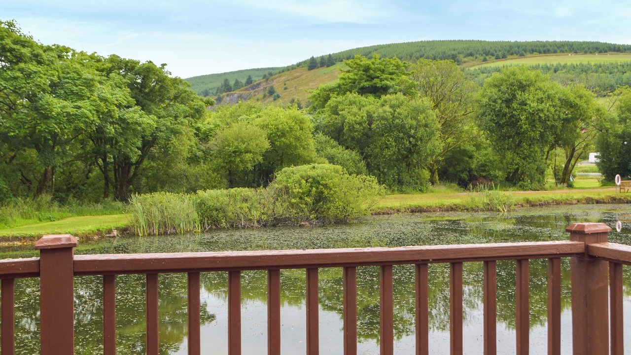 Photo of Others in Rosebush