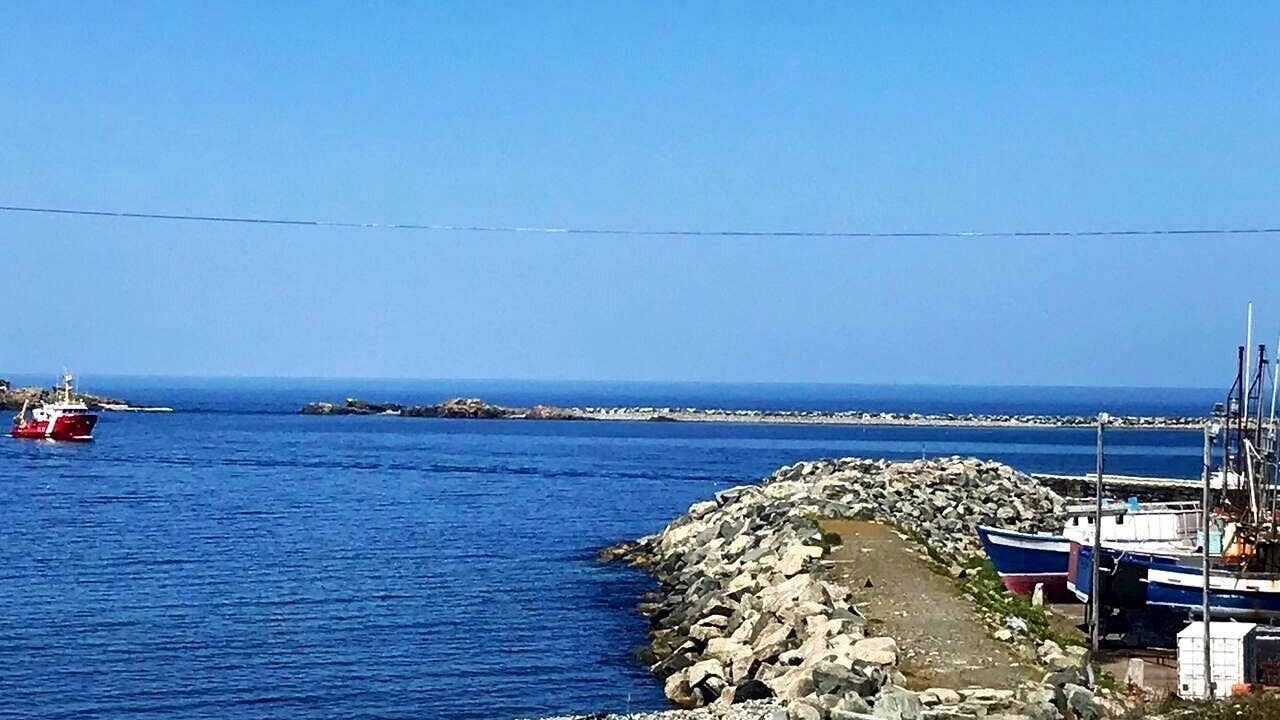 Photo of Others in Bonavista