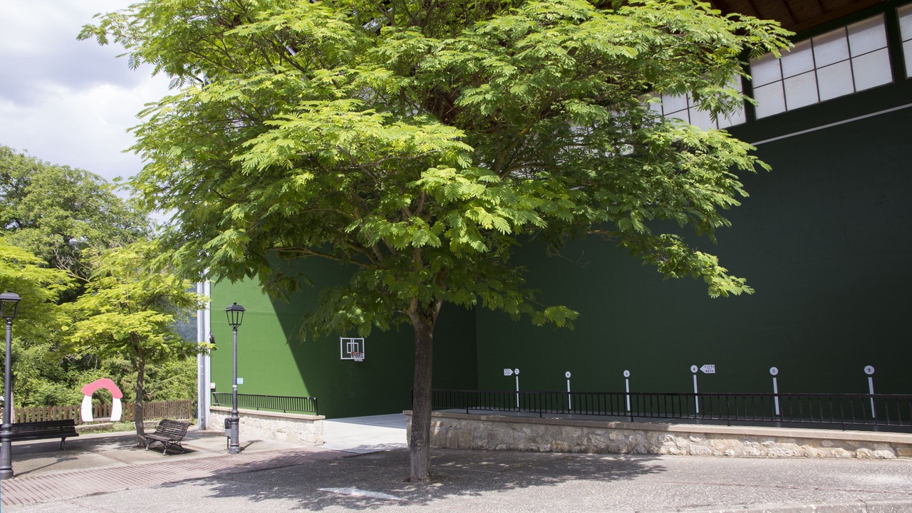 Photo of Outdoor in Baquedano