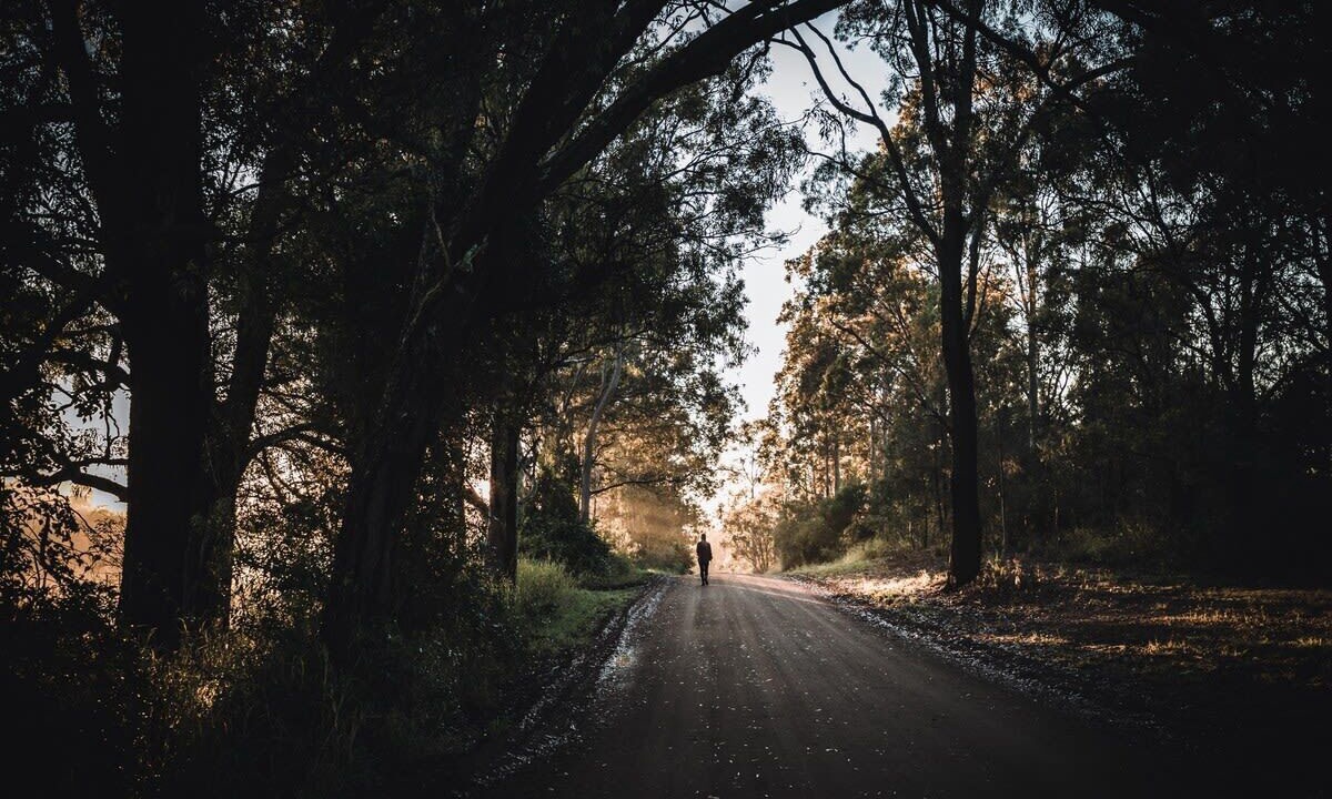 Photo of Outdoor in Pokolbin