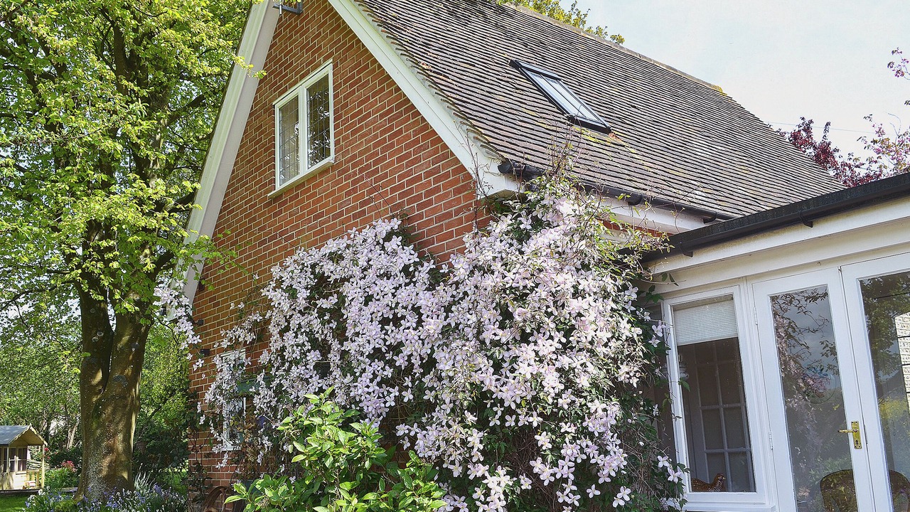 Photo of Others in Chichester