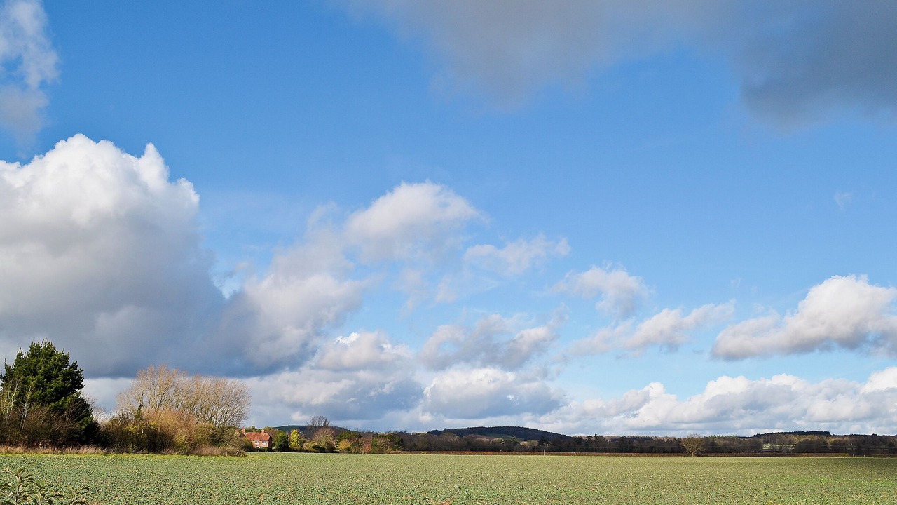 Photo of Others in Chichester