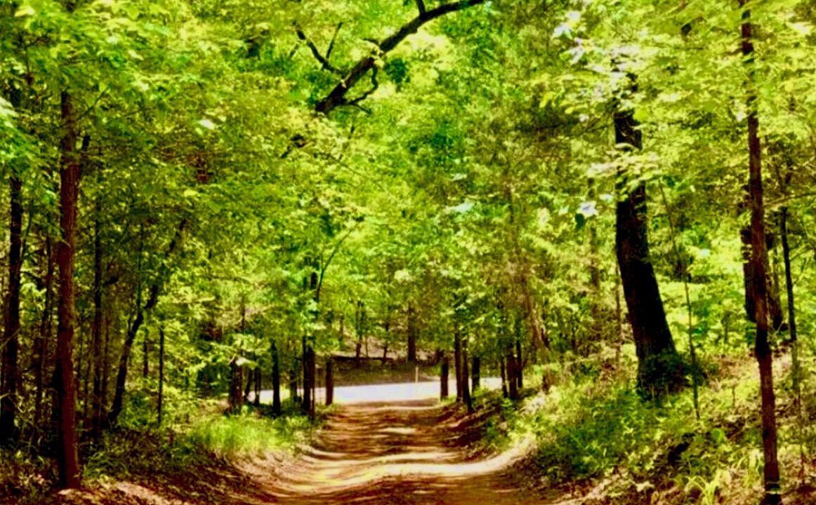Photo of Others in Van Zandt County