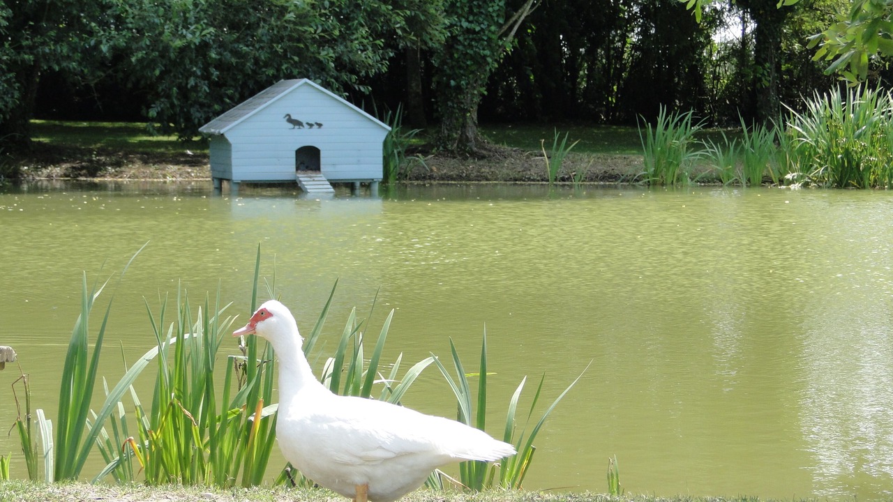 Photo of Outdoor in Bouin