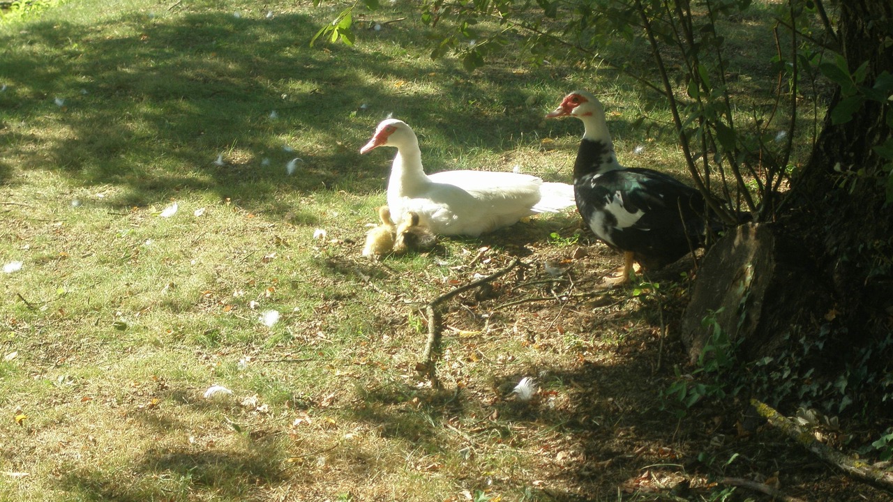 Photo of Outdoor in Bouin