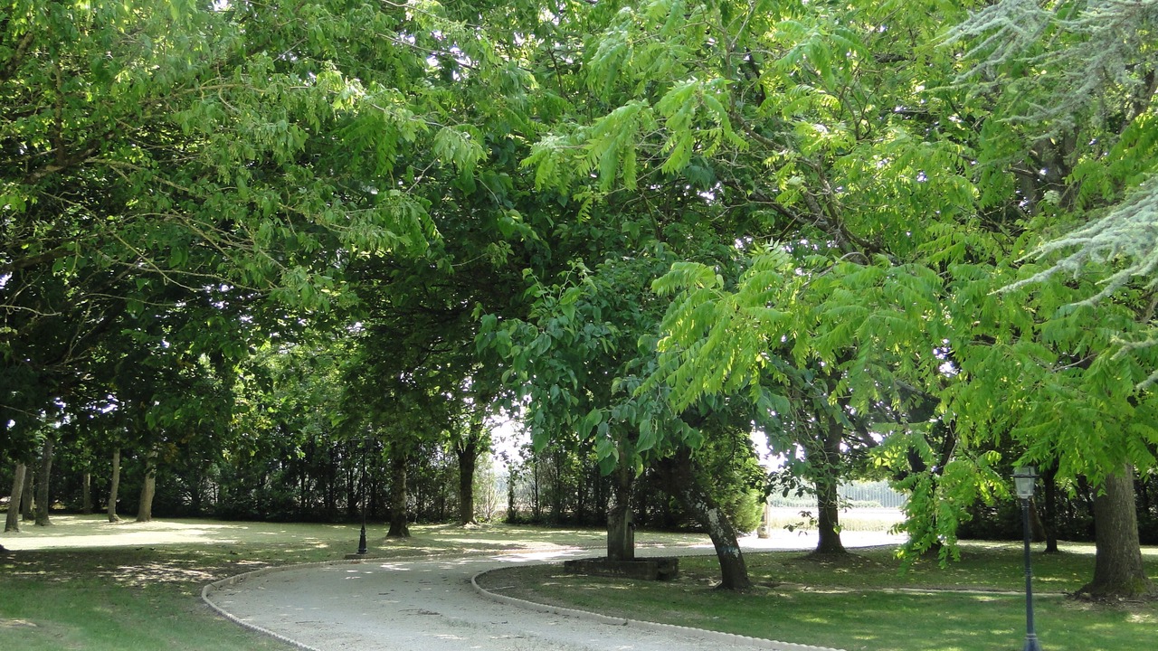 Photo of Outdoor in Bouin