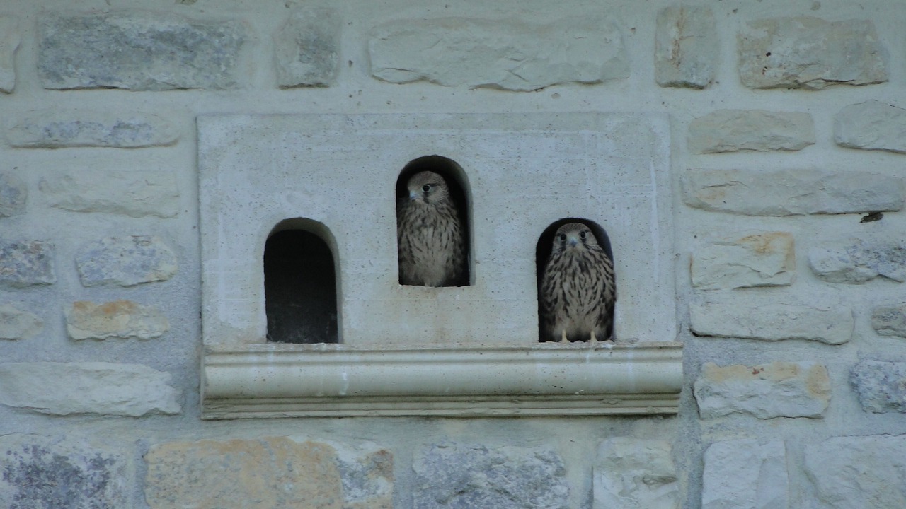 Photo of Outdoor in Bouin