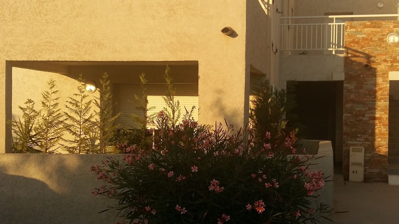 Photo of Outdoor in Oletta