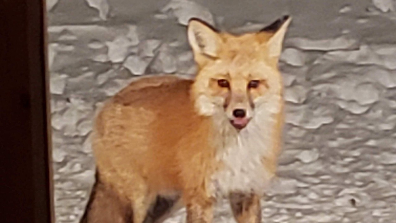 Photo of Others in Dubois