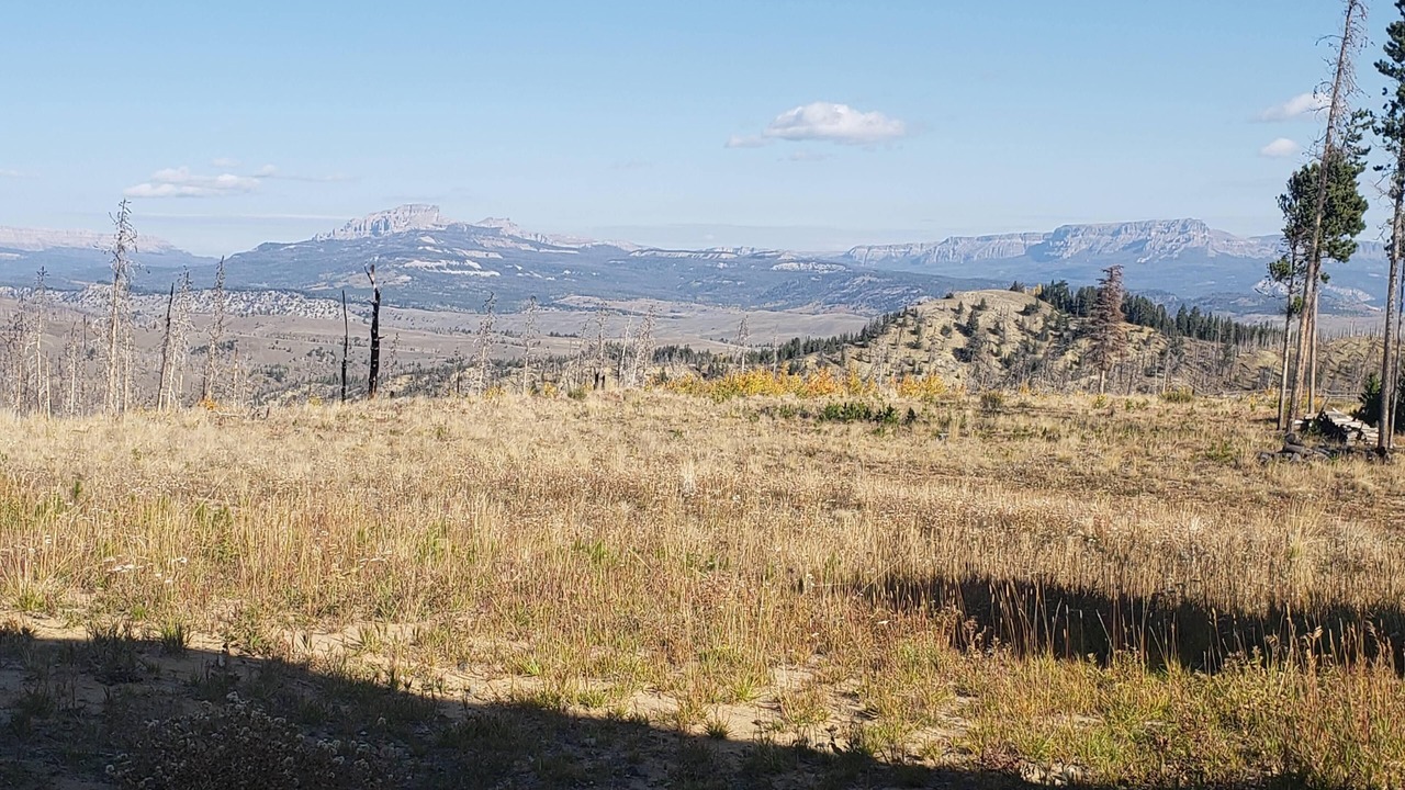 Photo of Others in Dubois