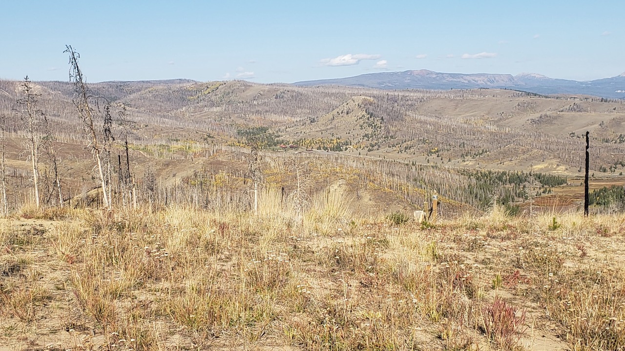 Photo of Others in Dubois