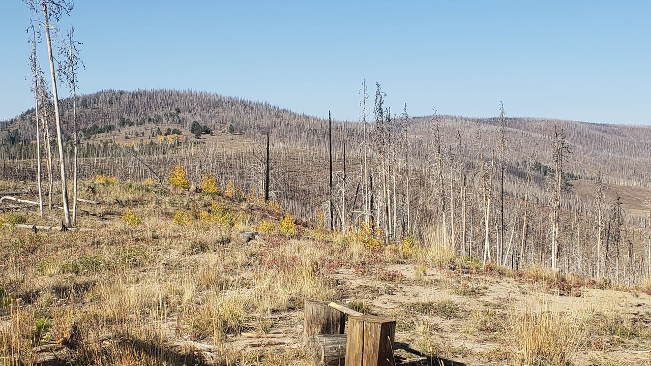 Photo of Others in Dubois