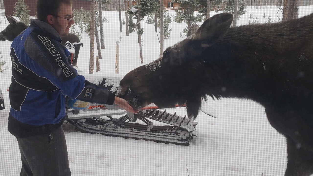 Photo of Others in Dubois