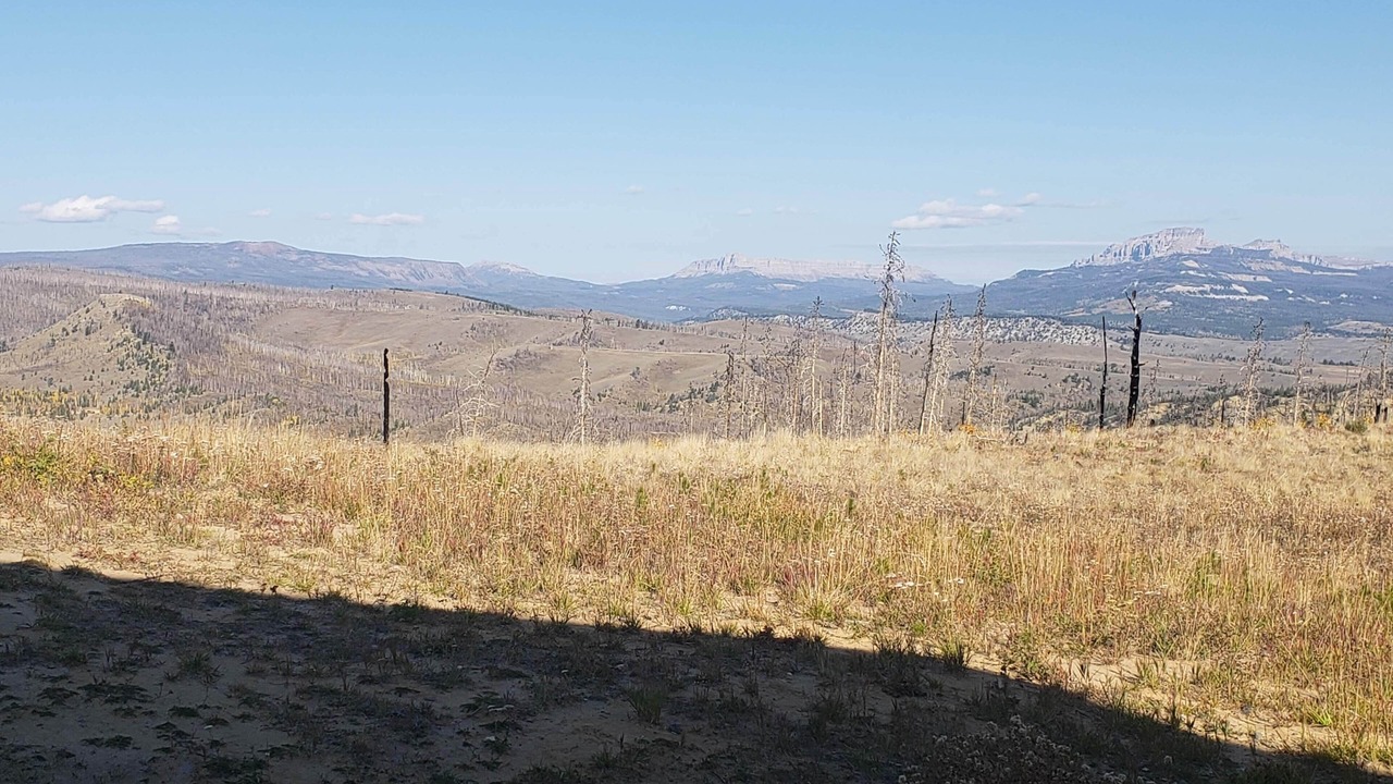 Photo of Others in Dubois