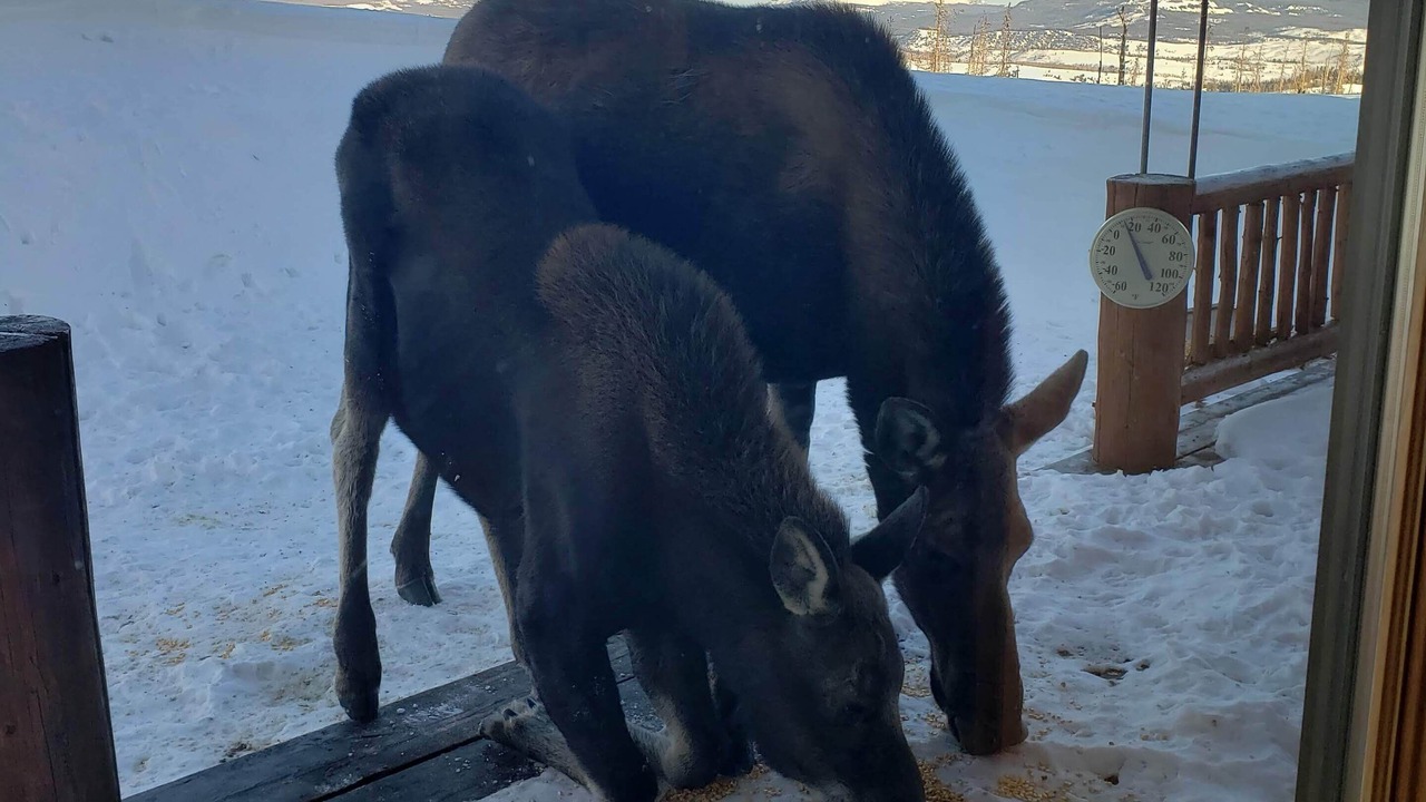 Photo of Others in Dubois