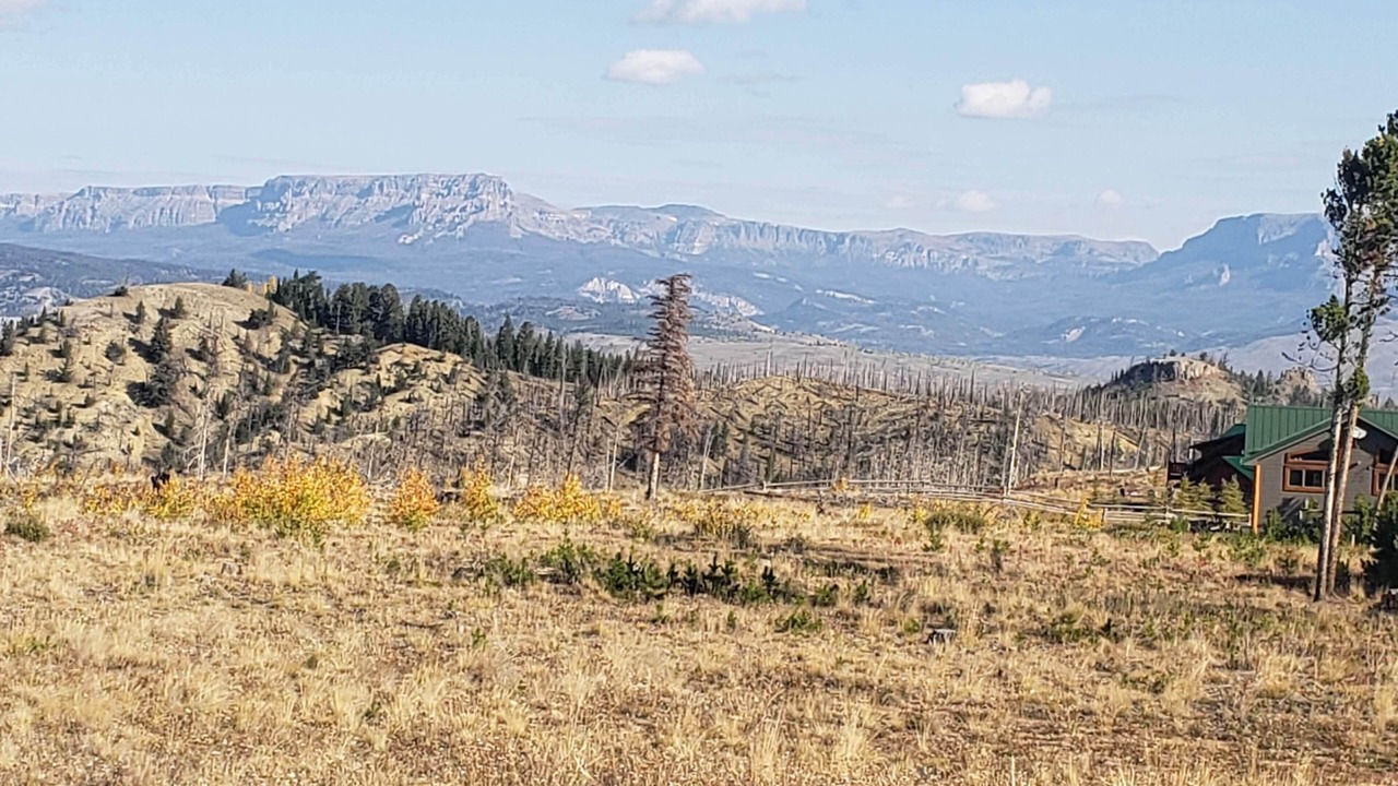 Photo of Others in Dubois