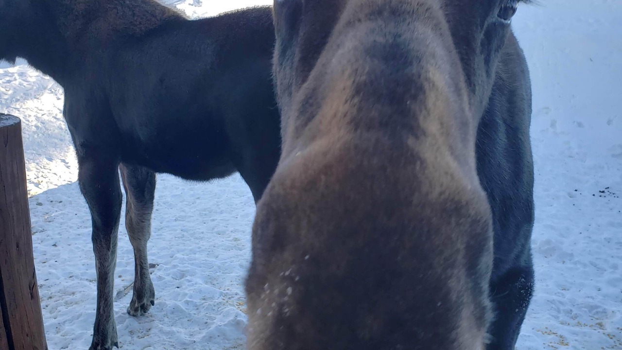 Photo of Others in Dubois