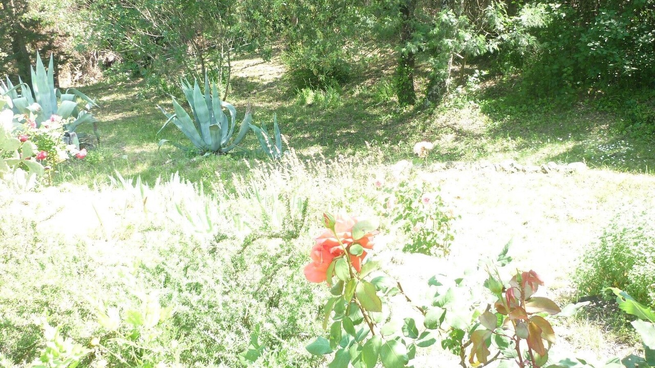 Photo of Outdoor in Reynes