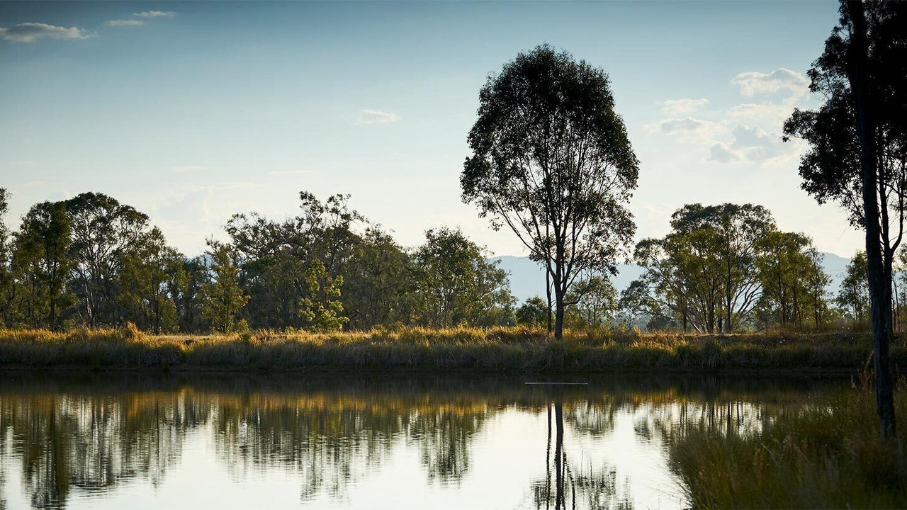 Photo of Outdoor in Lovedale