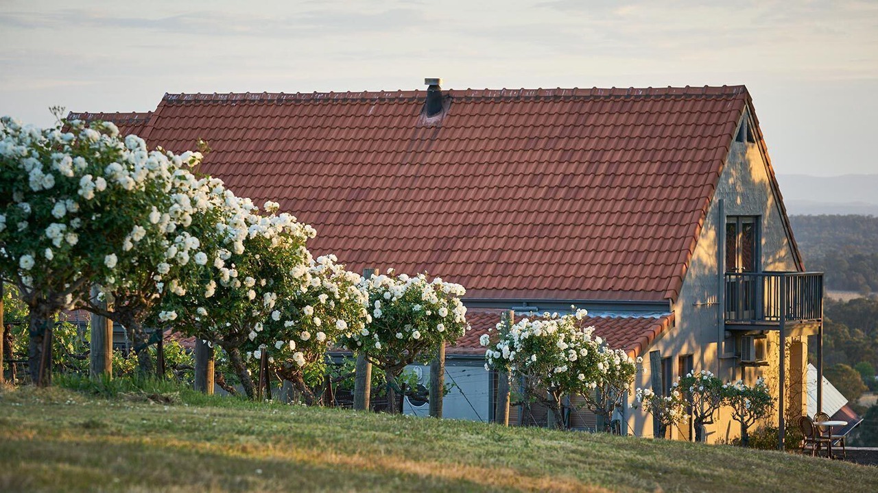 Photo of Outdoor in Lovedale