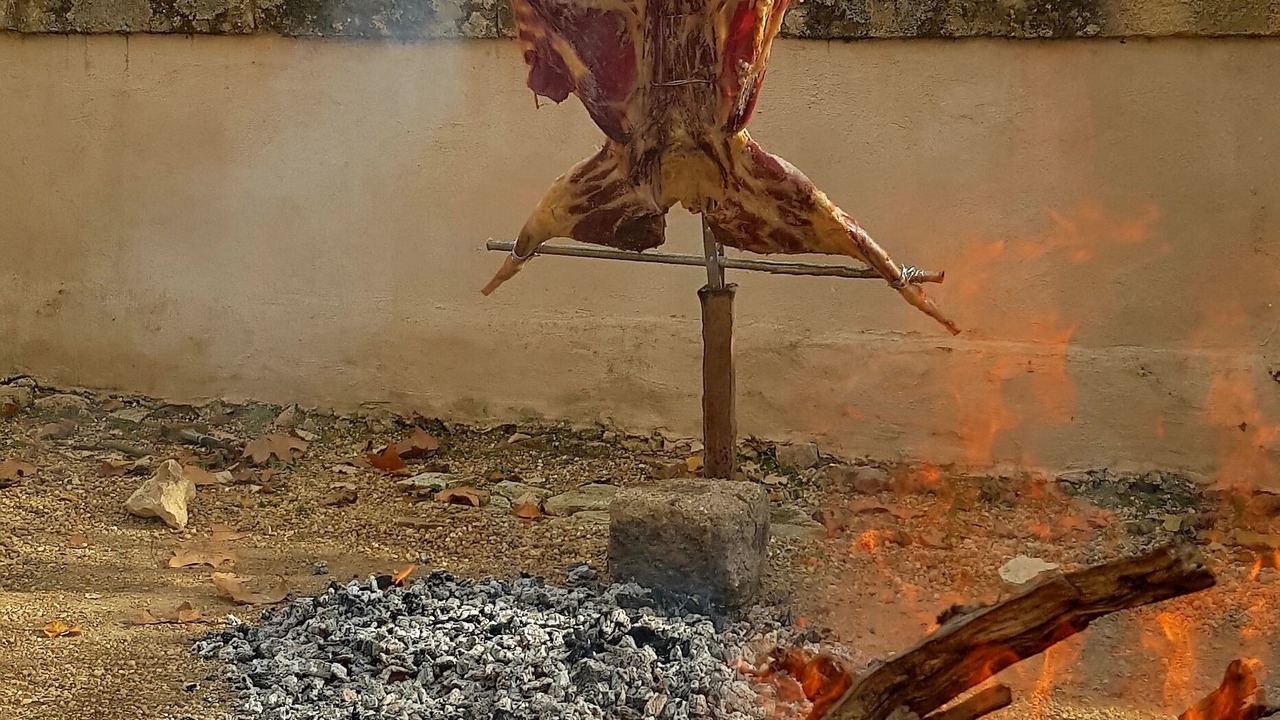 Photo of Outdoor in Aimargues