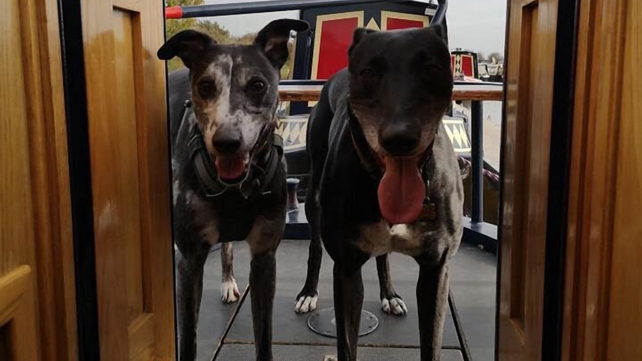 Photo of Others in Middlewich