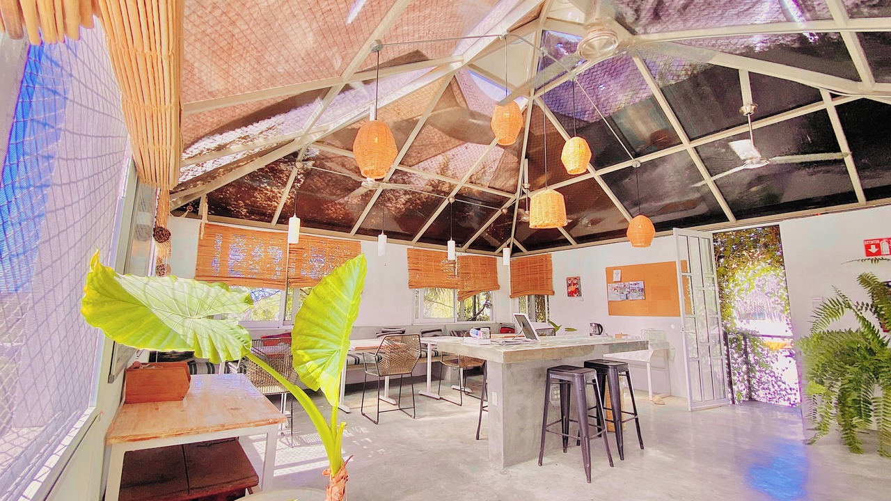 Photo of Others in Todos Santos