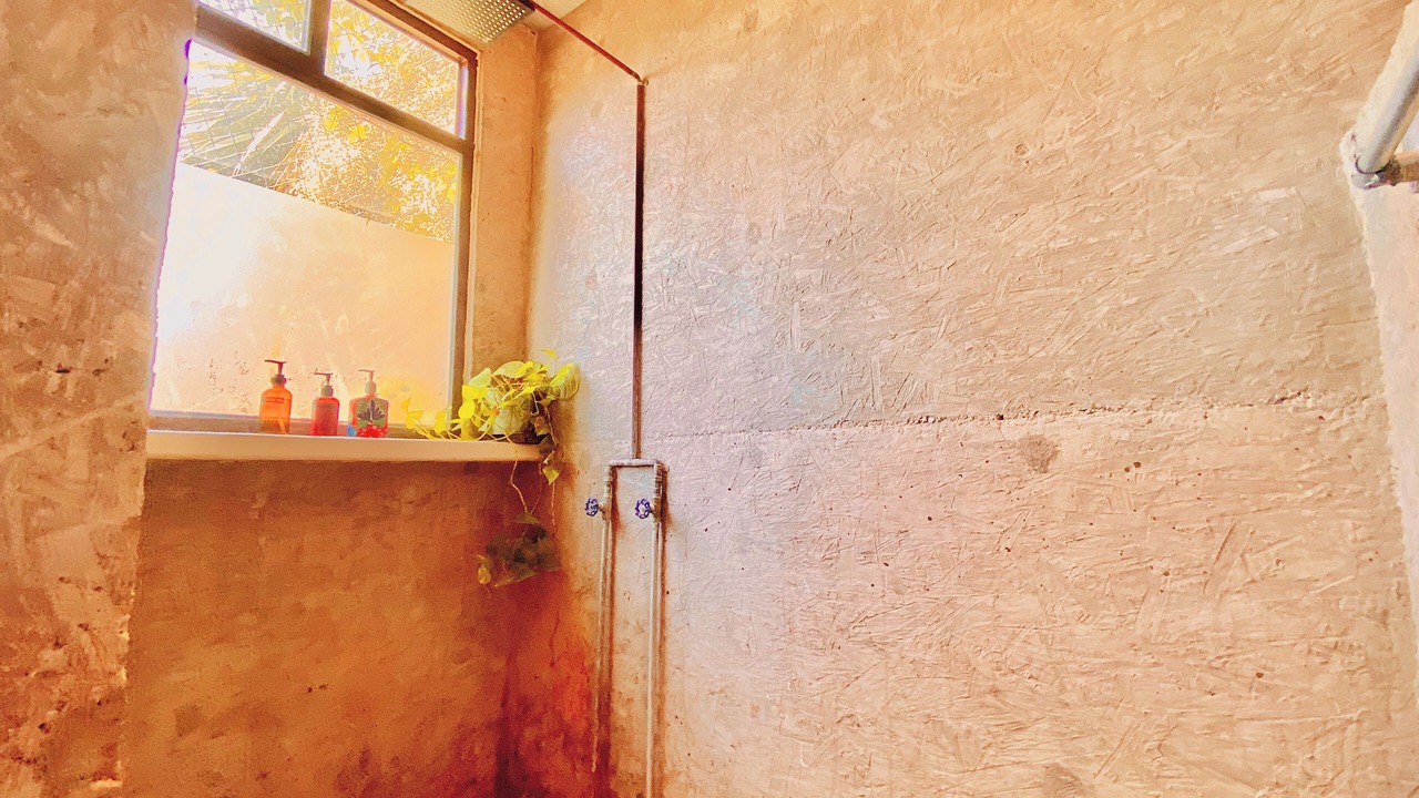 Photo of Others in Todos Santos