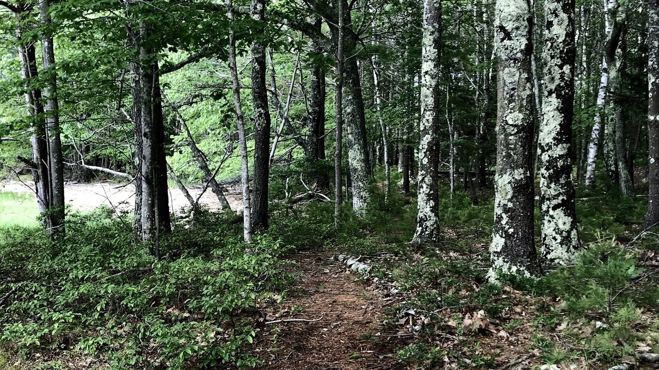 Photo of Outdoor in Georgetown
