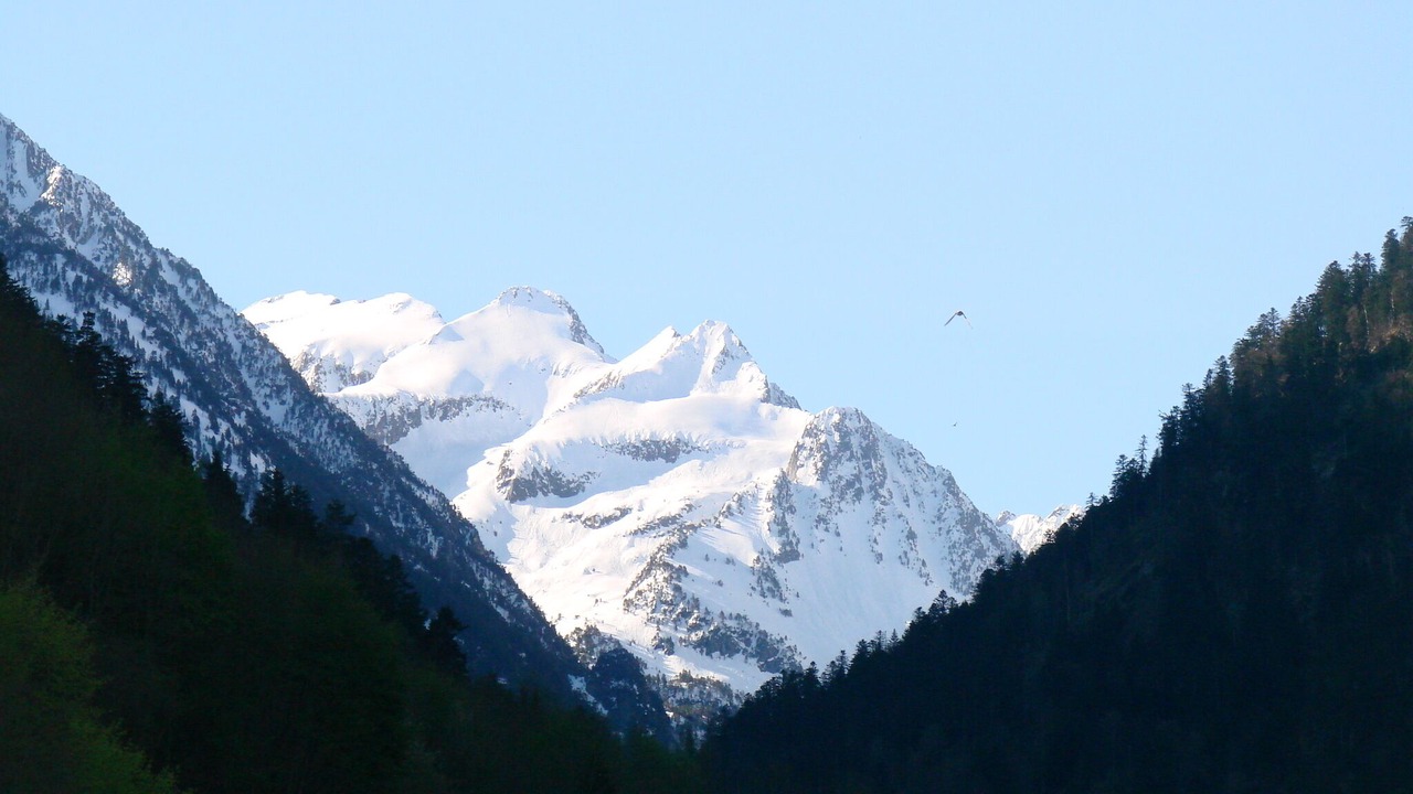 Photo of Others in Cauterets