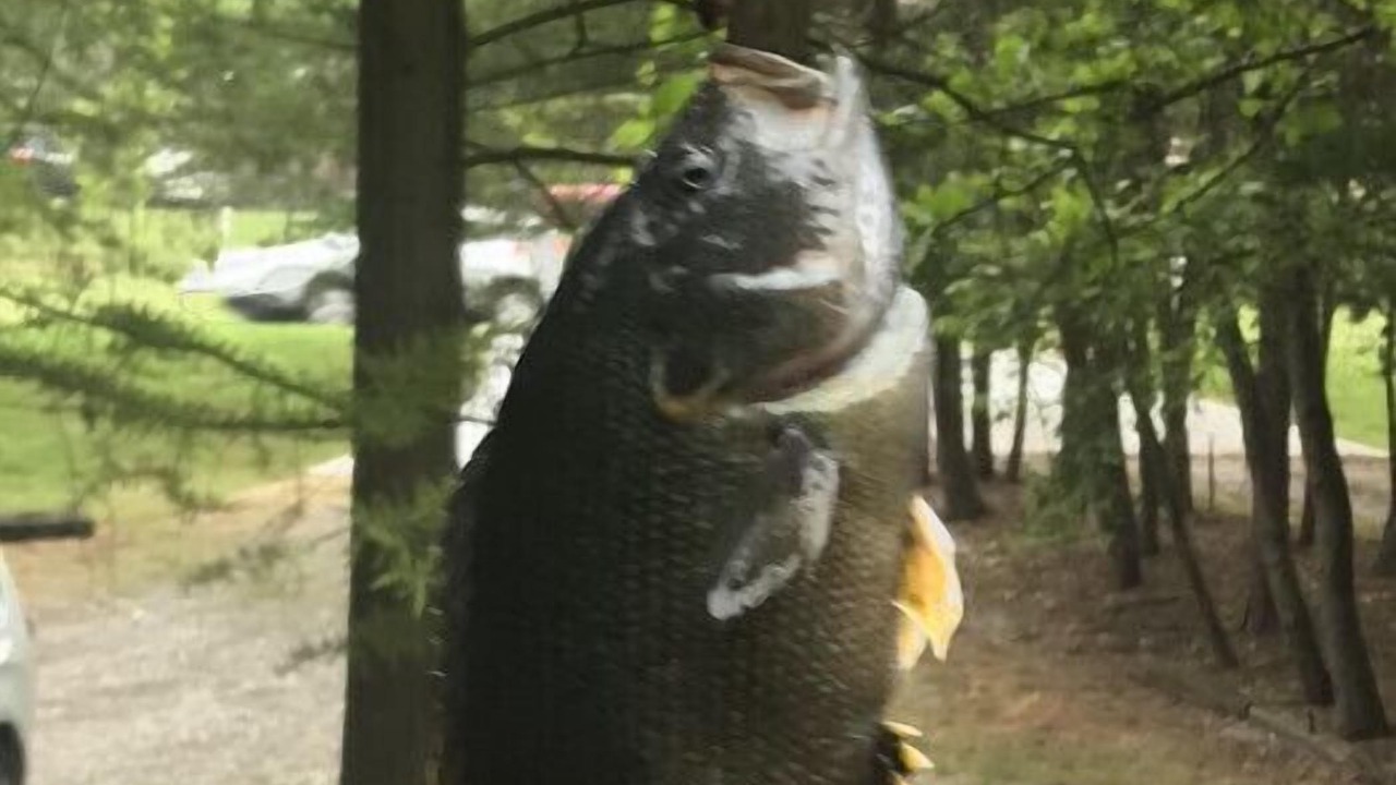 Photo of Outdoor in Fayetteville