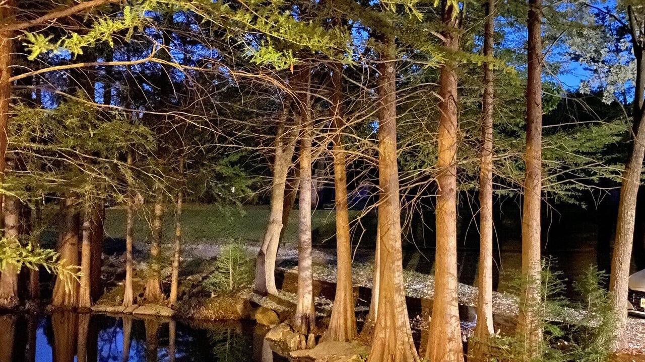 Photo of Outdoor in Fayetteville