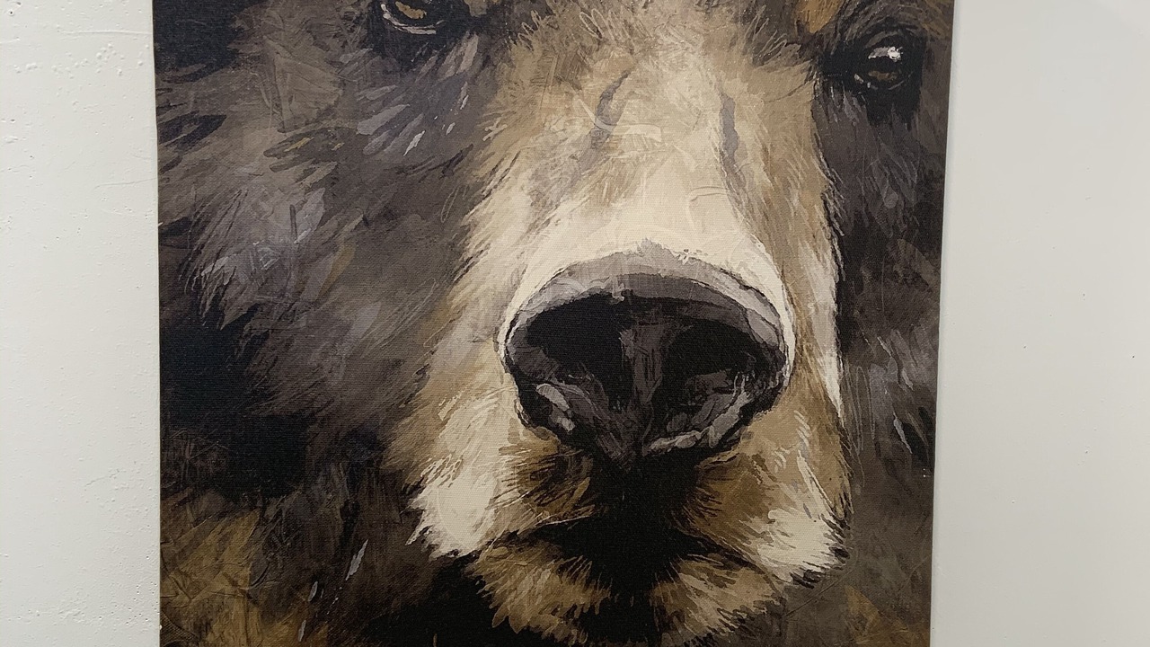 Photo of Others in Casper