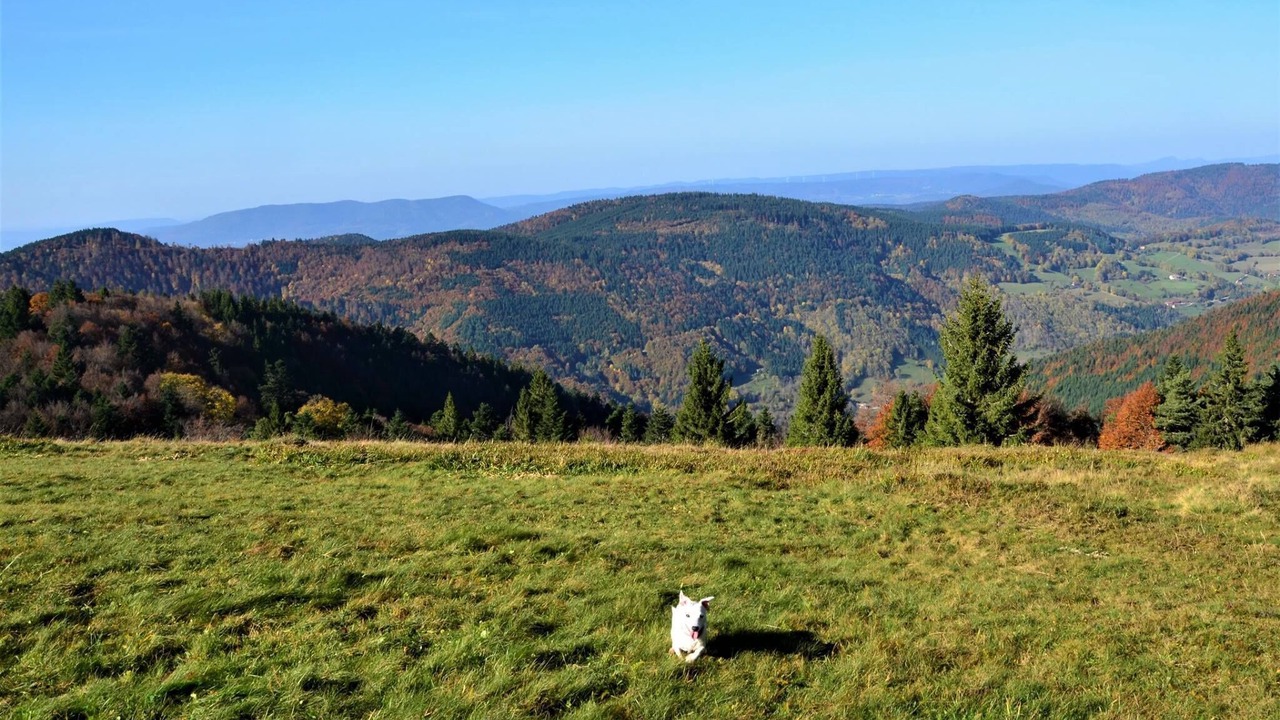 Photo of Outdoor in Saint-Philippe