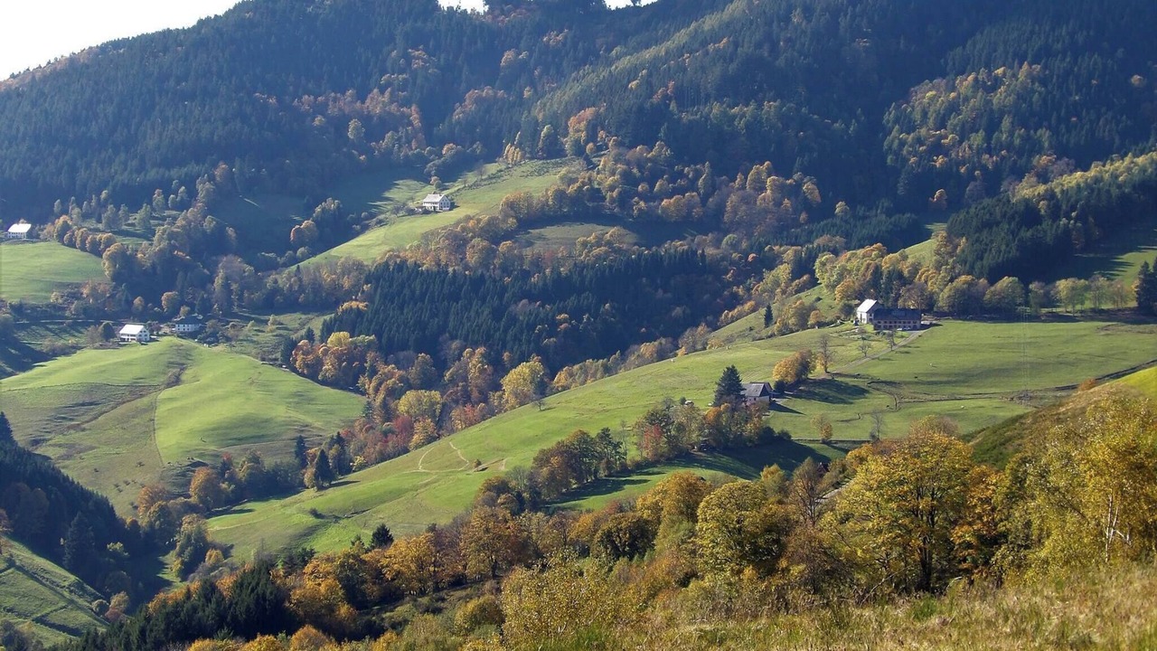 Photo of Others in Saint-Philippe