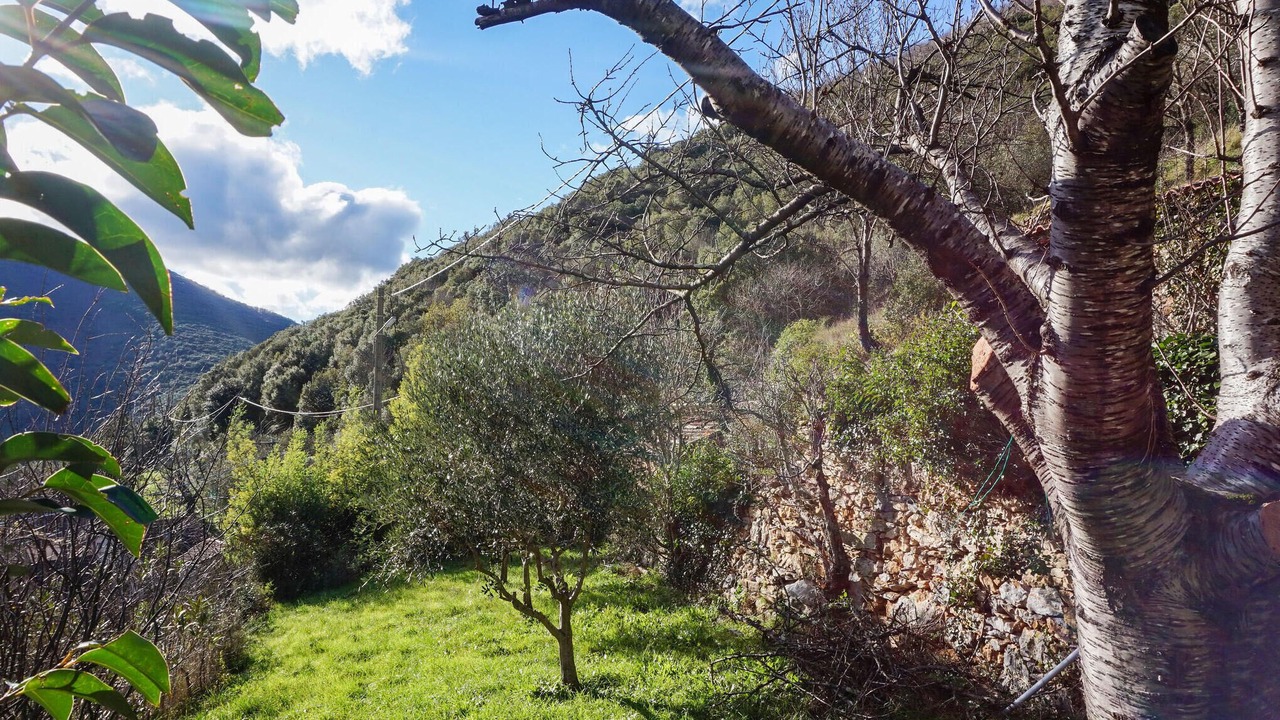 Photo of Others in Olargues