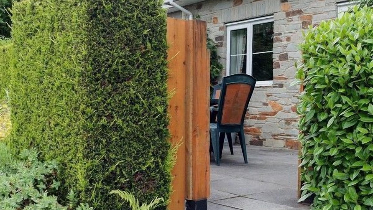 Photo of Others in Saltash