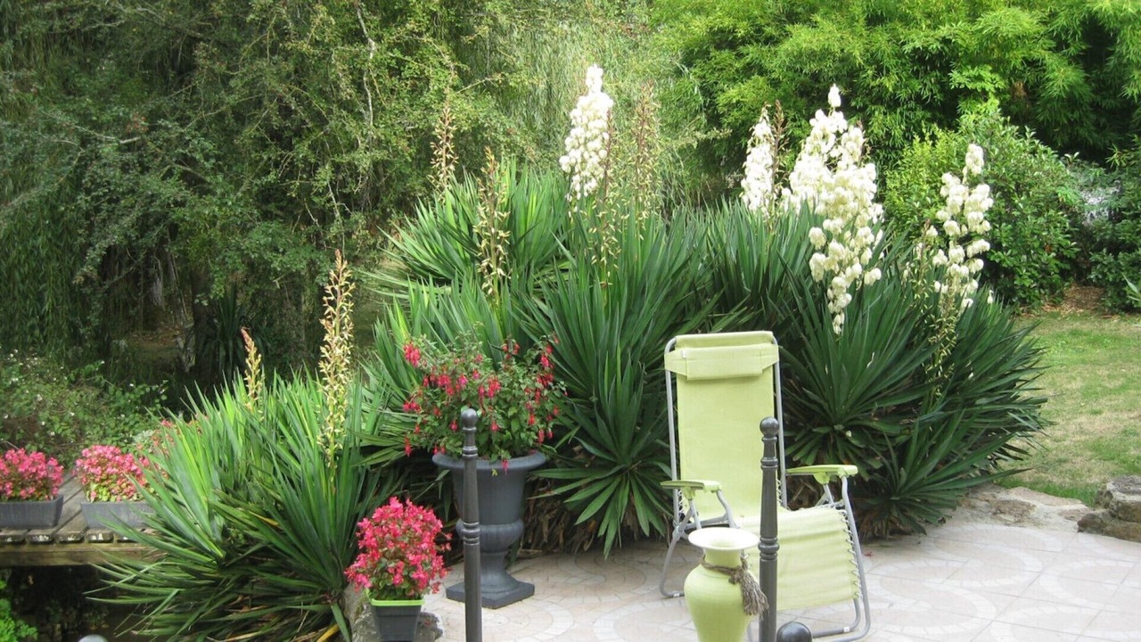 Photo of Outdoor in Saint-Laurent-de-la-Salle