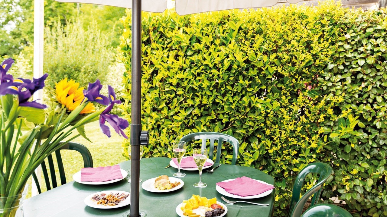 Photo of Others in Bergerac