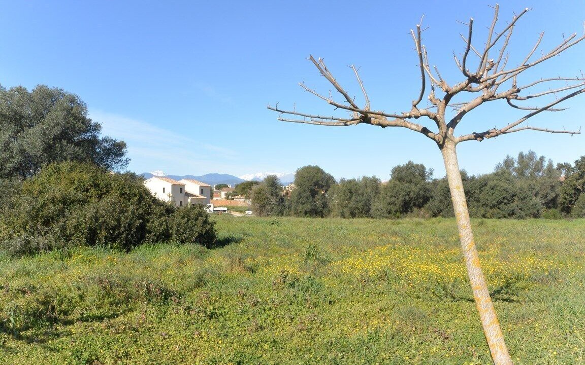 Photo of Outdoor in Aleria