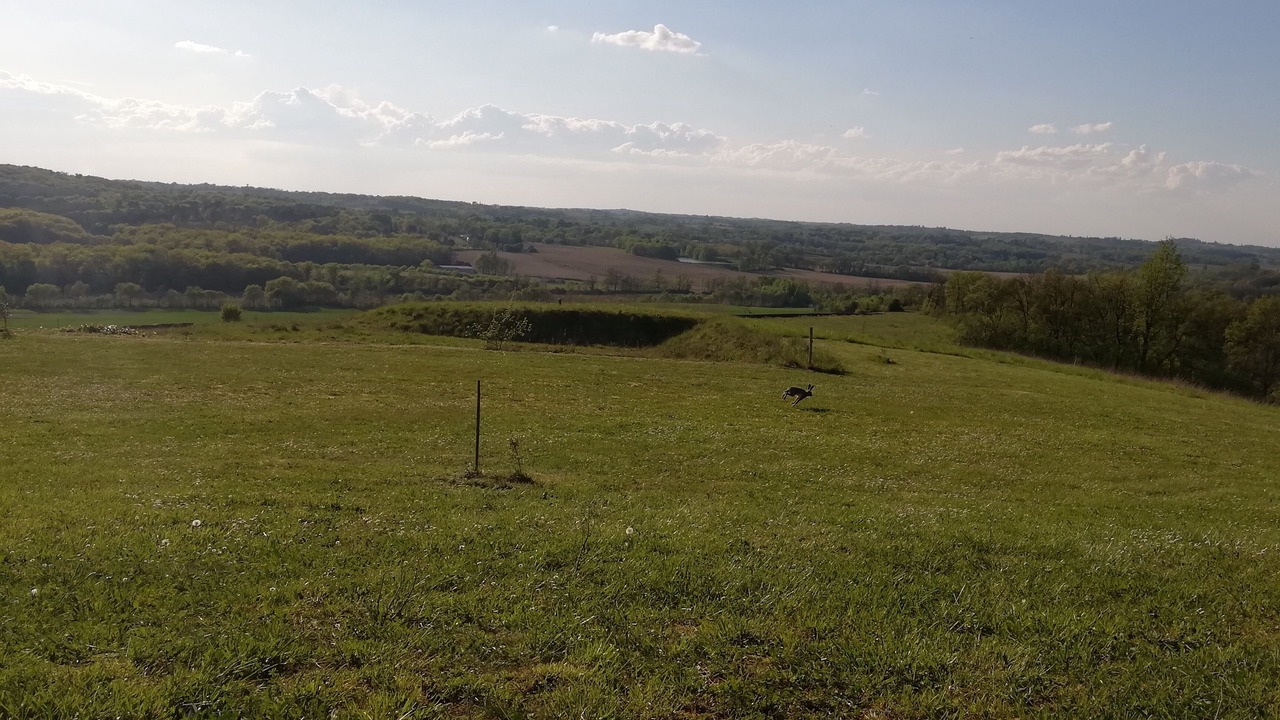 Photo of Others in Courrensan