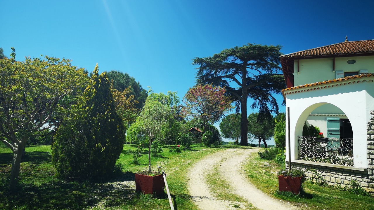 Photo of Outdoor in Courrensan