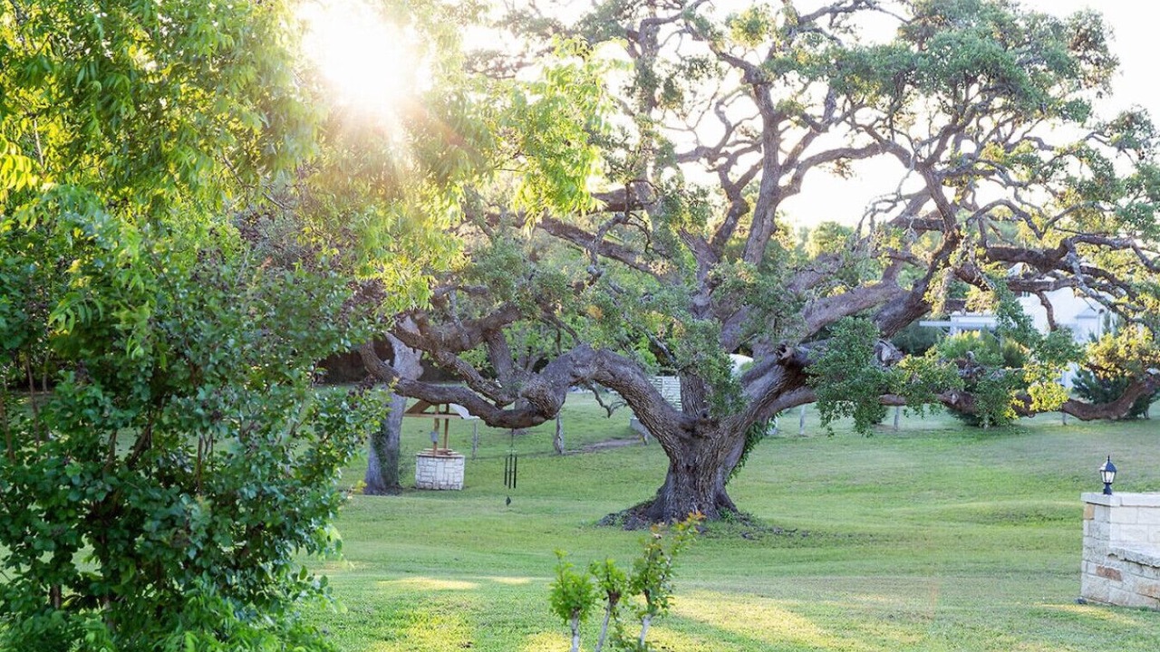 Photo of Outdoor in Round Top