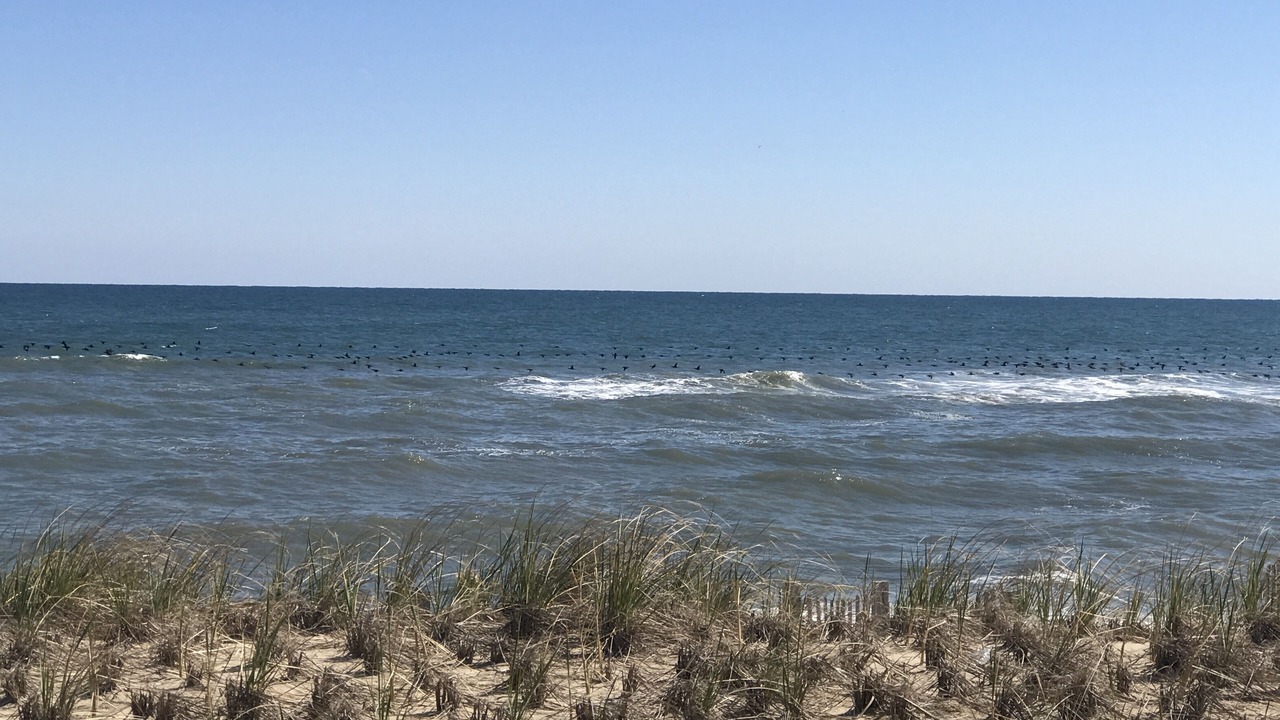 Photo of Others in Kill Devil Hills