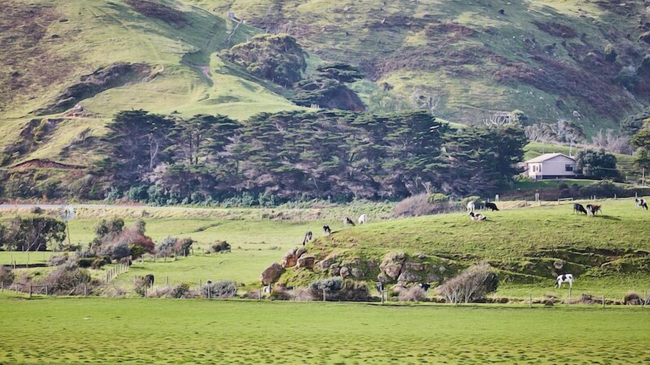 Photo of Others in Glenaire