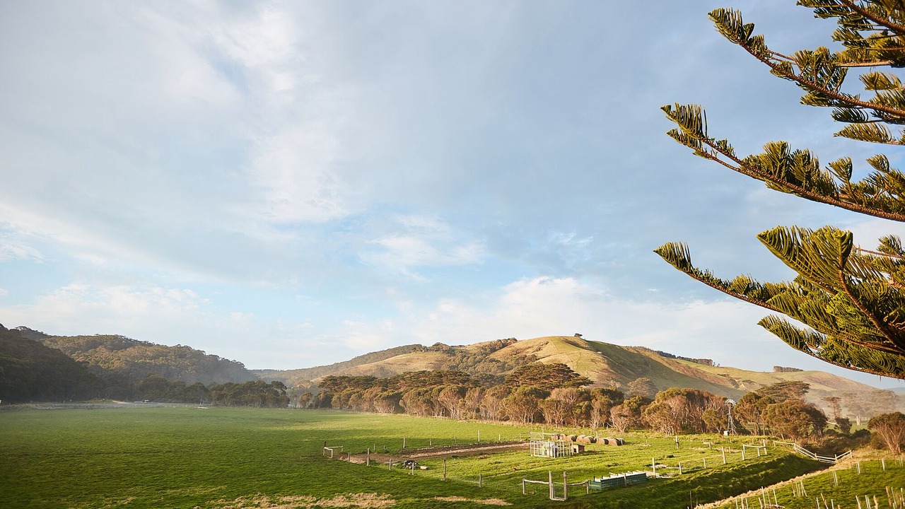 Photo of Others in Glenaire