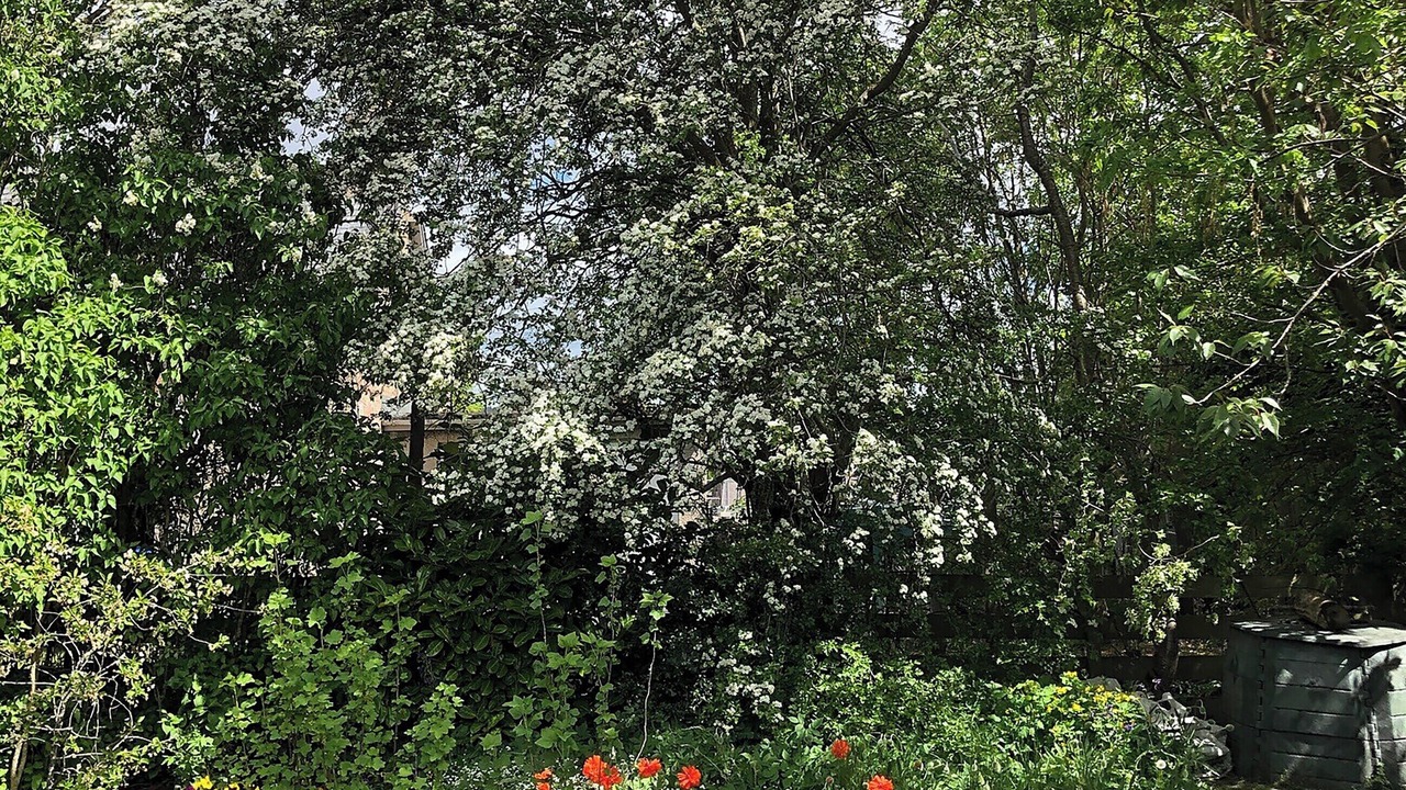 Photo of Outdoor in Ballater