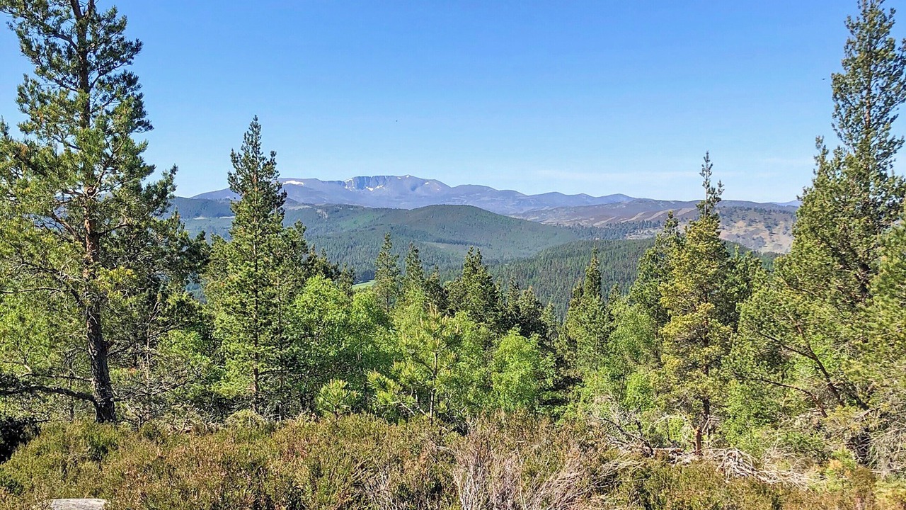 Photo of Others in Ballater