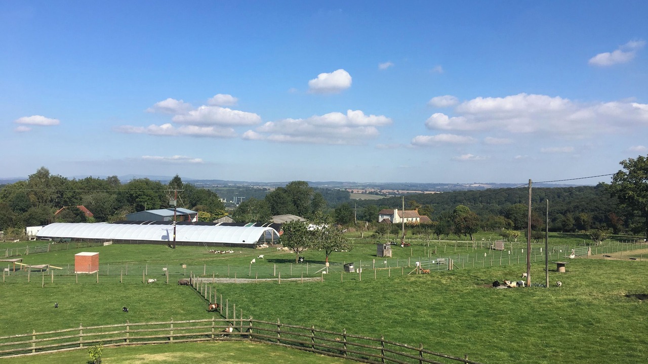 Photo of Others in Hope under Dinmore